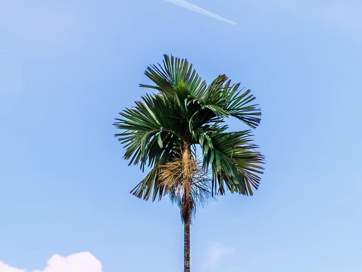 Lake Worth-Based Behavioral Health Provider Files for Bankruptcy: Key Insights and Legal Considerations